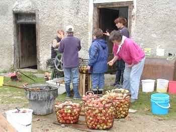 Apfelernte und Apfelsaftpressen