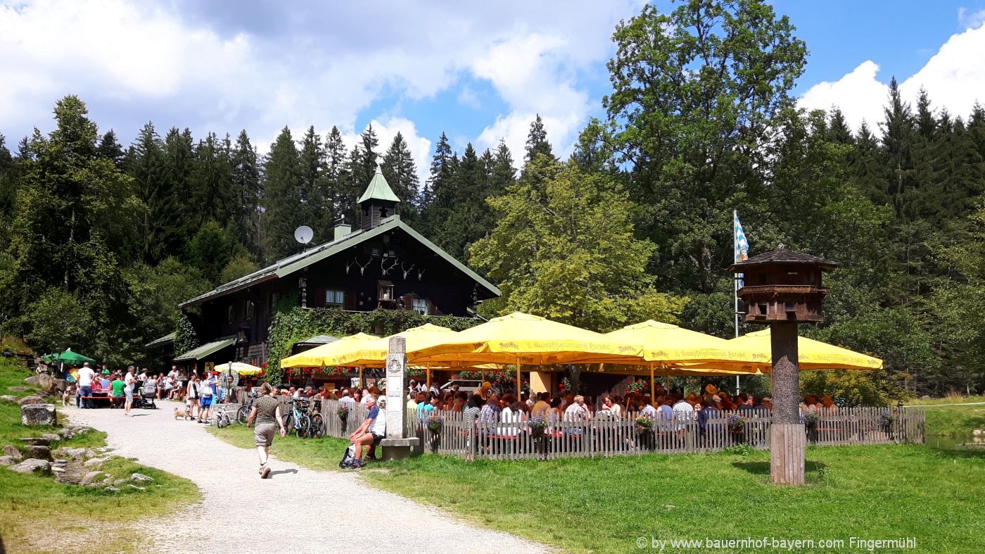 Tagesausflug Bayerischer Wald Ausflüge Oberpfalz und Niederbayern
